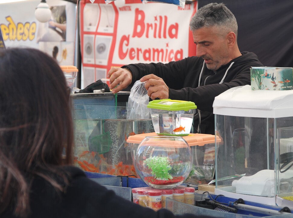 "Facce da Fiera”: volti, colori e immagini dell'evento più amato dai cosentini - FOTO 128 fiera1