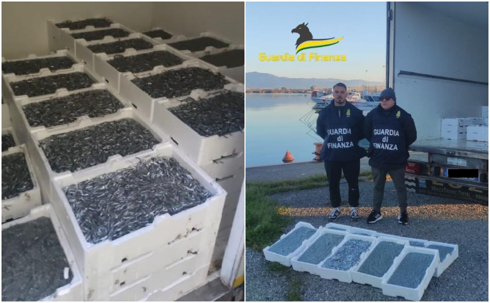 guardia-di-finanza-vibo-sequestro-