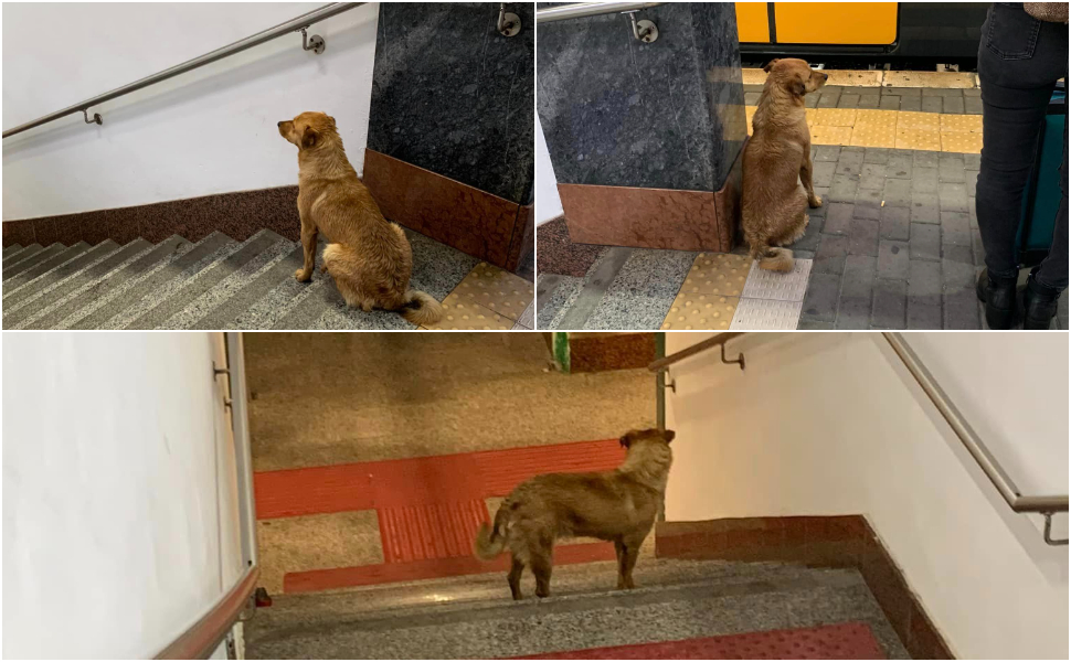 jack ritrovato Paola