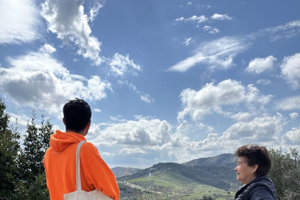 piattaforme digitali