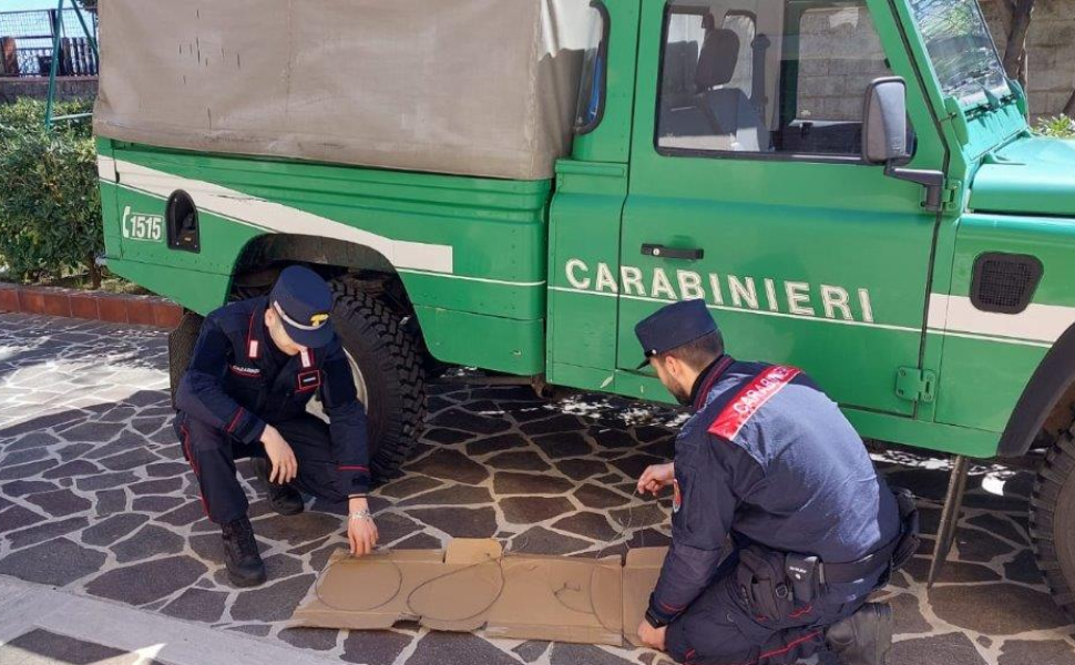 trappola bracconieri carabinieri forestali 02