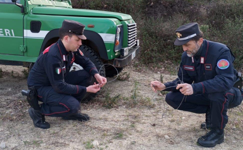 trappola bracconieri carabinieri forestali