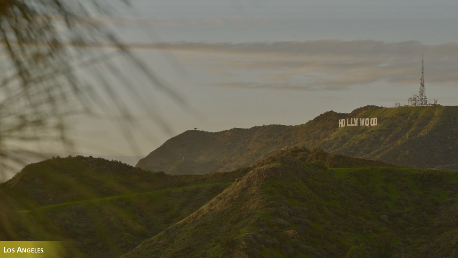 1. Frame The Lost Legacy of Tony Gaudio