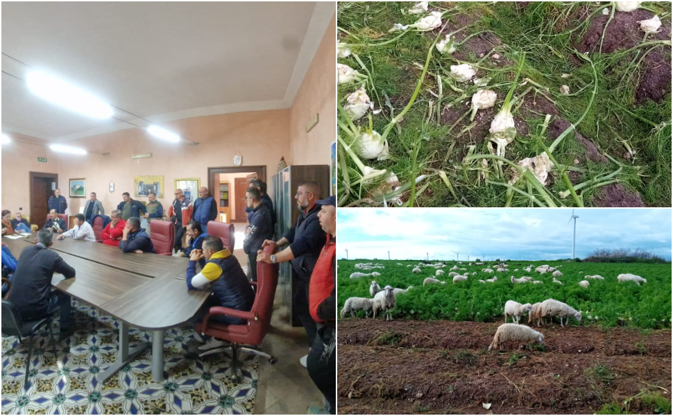 Emergenza Idrica: agricoltori dal sindaco per consegnare le Partite Iva 55 agricoltori isola capo rizzuto emergenza idrica