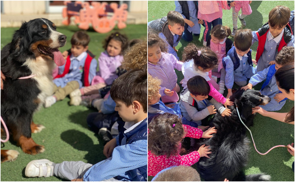 Corigliano Rossano: contro l'abbandono degli animali, la prevenzione parte dai più piccoli 57 giornata bambini corigliano rossano abbandono animali nido 01