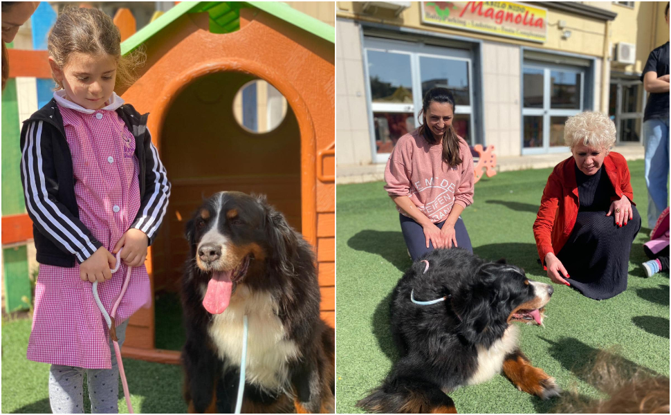 Corigliano Rossano: contro l'abbandono degli animali, la prevenzione parte dai più piccoli 56 giornata bambini corigliano rossano abbandono animali nido 02