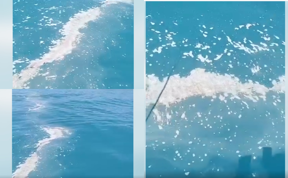 Scie putride in mare nell'Alto Tirreno Cosentino: «sindaci svegliatevi» - VIDEO 1 scie-in-mare-alto-tirreno-cosentino