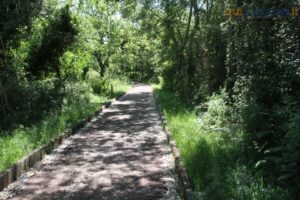 C'era una volta il Lungofiume: rifiuti, BoxArt usati come bivacchi e pista ciclabile abbandonata - FOTO 68 viabendicenti 12