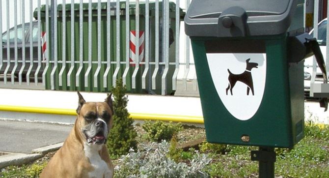 deiezioni canine cestino