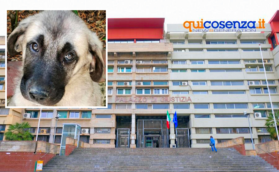 AKIM - Tribunale-Cosenza