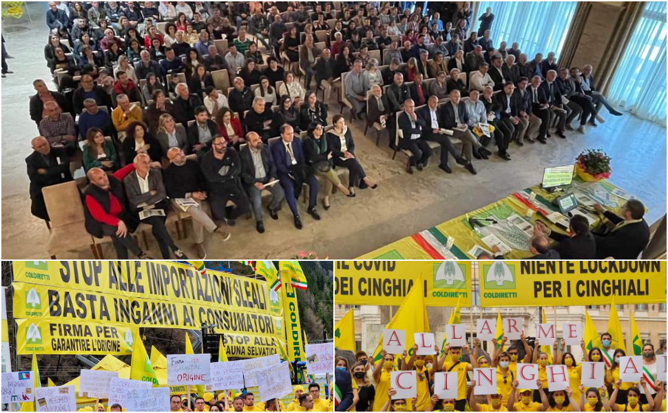 Coldiretti assemblea