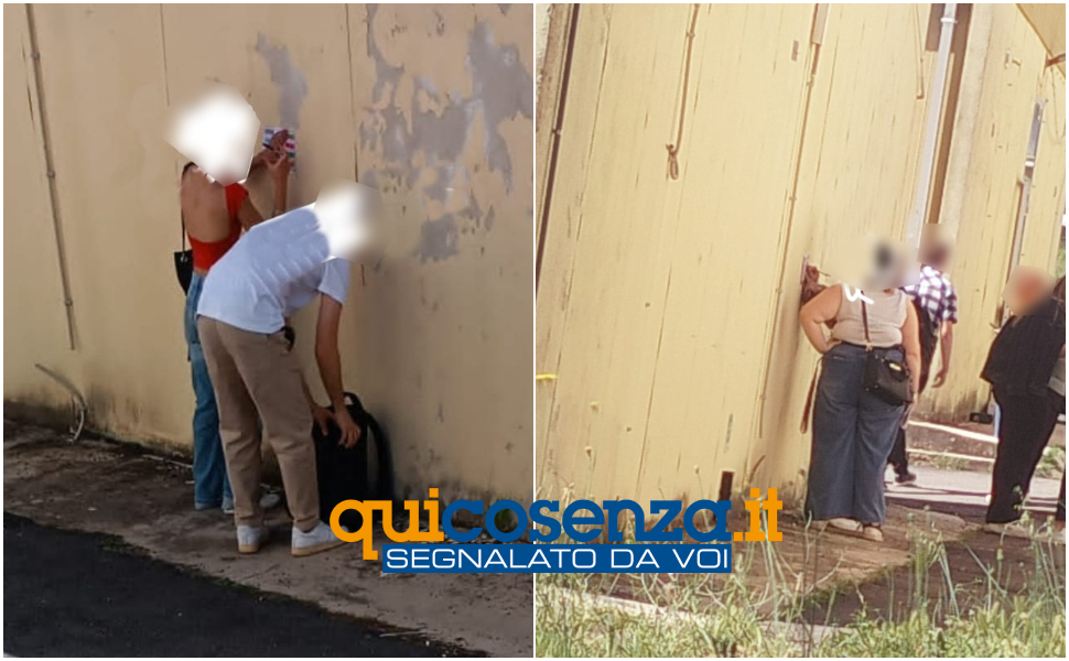 Elezioni studentesche unical seegnalazione 1