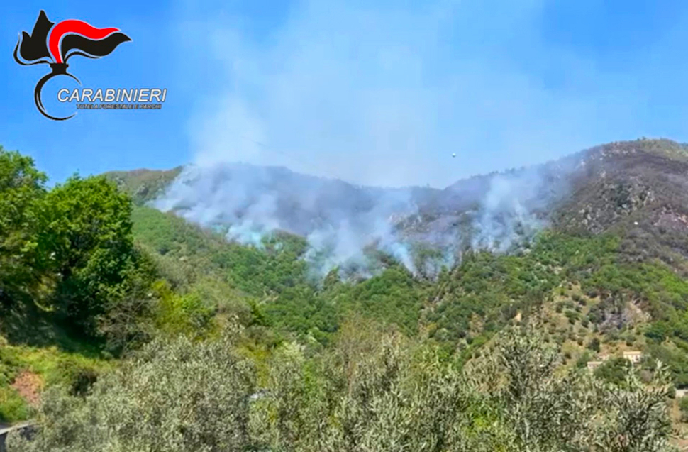 Incendio carabinieri Parchi