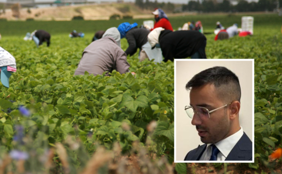 caporalato tavernise