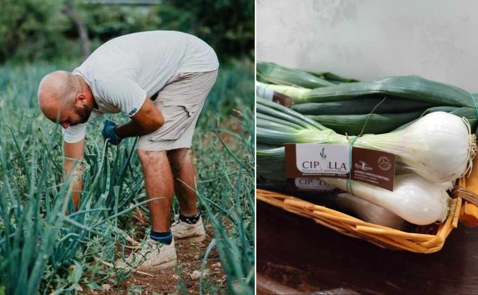 cipolla bianca castrovillari