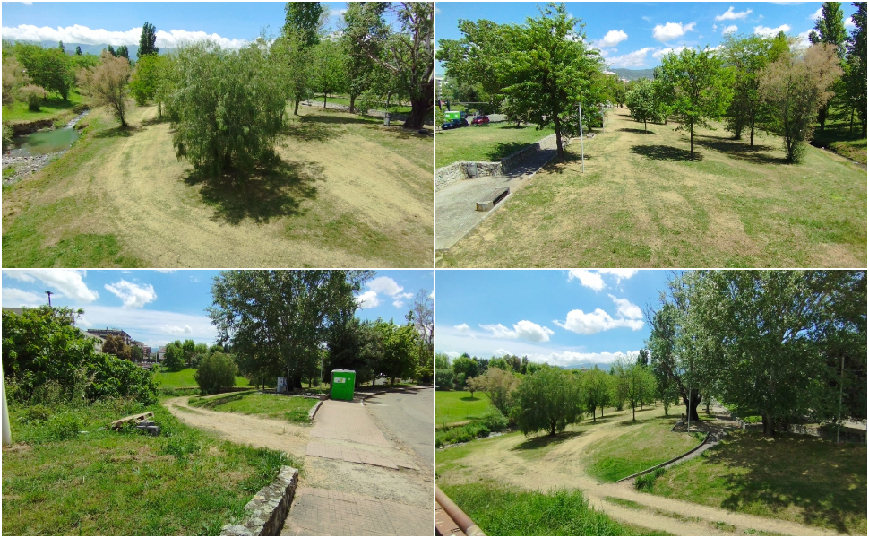 manto erboso danneggiato rende