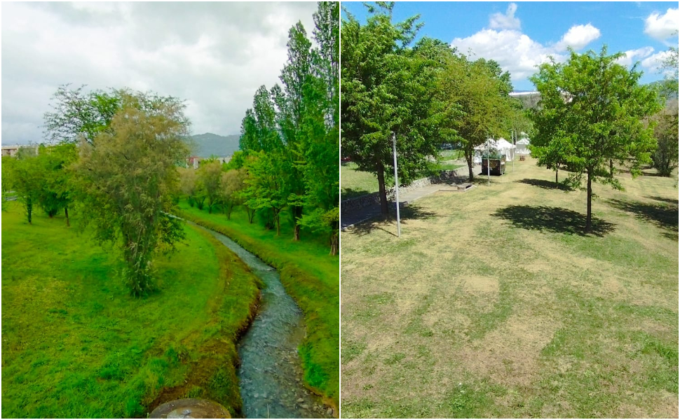 manto erboso danneggiato rende 02