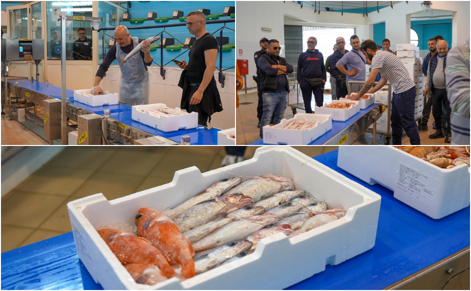 mercato ittico corigliano asta elettronica 01