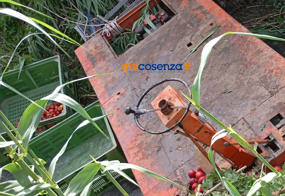 Carrello trattore frutta