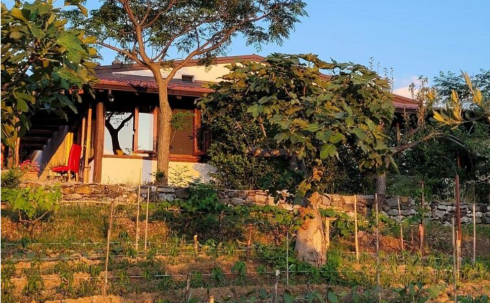 Festa raccolto santa domenica talao