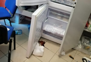 Mirto Crosia Vandali 03