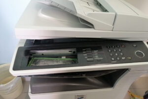 Mirto Crosia Vandali 05