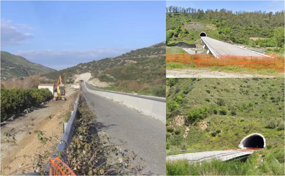 Sp-197-diga-di-tarsia