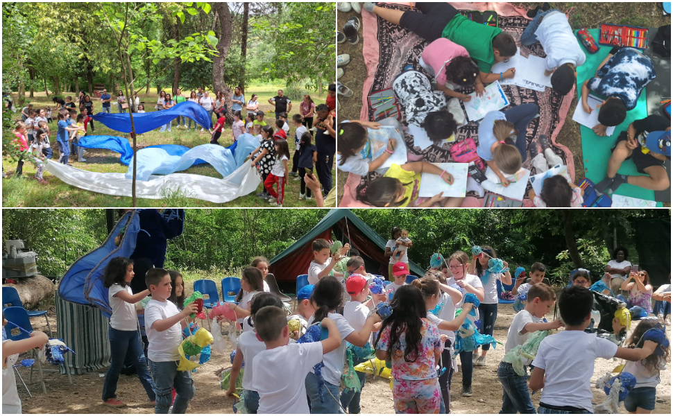 campeggio teatro carolei dipignano 02