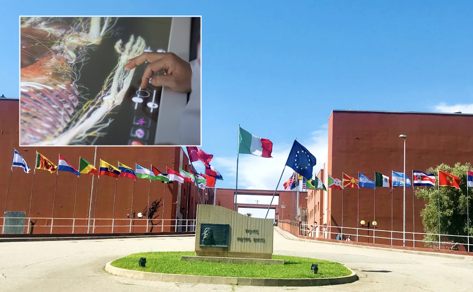 unical eccellenze mediche