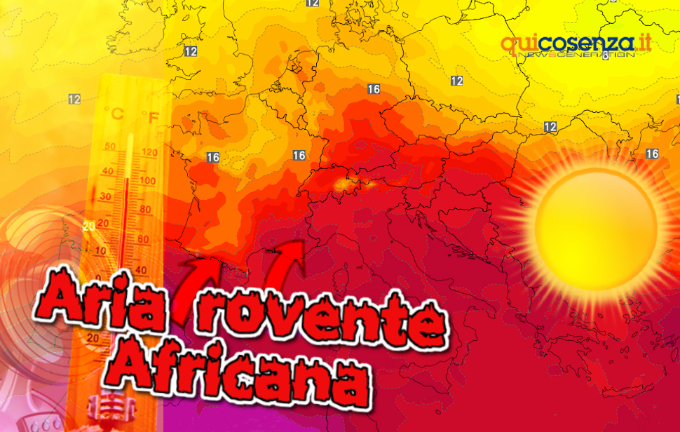 Aria roventea africana