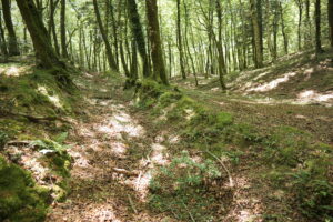 Aspromonte AnticheMuraRomane 22