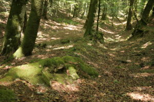 Aspromonte AnticheMuraRomane 24