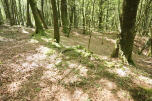 Aspromonte AnticheMuraRomane 25 1