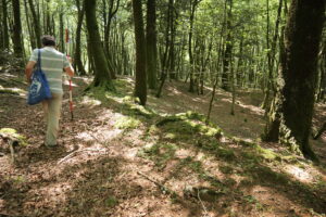 Aspromonte AnticheMuraRomane 26 1