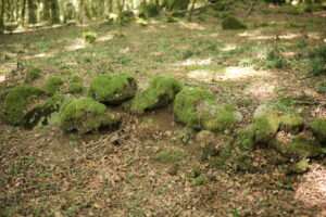 Aspromonte AnticheMuraRomane 28