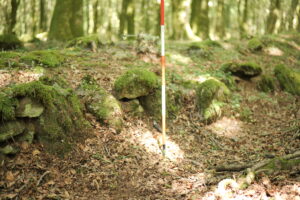 Aspromonte AnticheMuraRomane 29