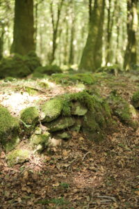 Aspromonte AnticheMuraRomane 31