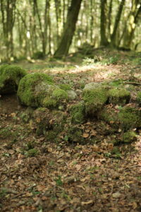 Aspromonte AnticheMuraRomane 32