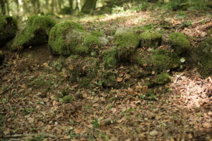 Aspromonte AnticheMuraRomane 33