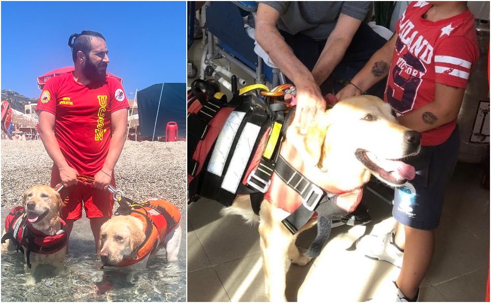 Mae cane soccorso cz 02