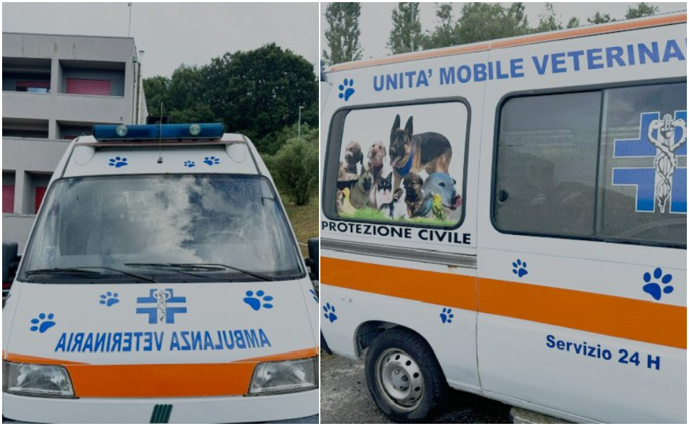 Rende: l'organizzazione di volontariato "Le Aquile" si dota di un'ambulanza veterinaria 51 ambulanza veterinaria aquile