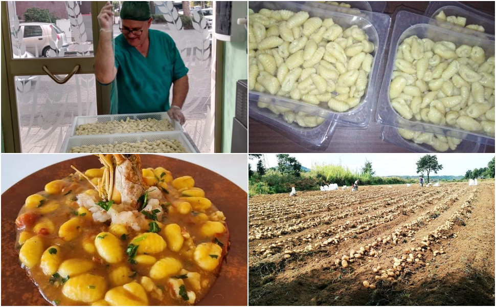 Da Cosenza gli gnocchi alla 'patata valliva' per aprire il primo pastificio gestito da ragazzi autistici 51 patata-valliva_pastaut_cosenza