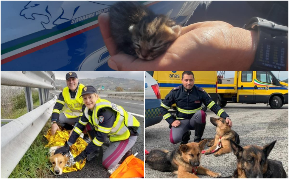 se non ti porto non parto polizia di stato 02