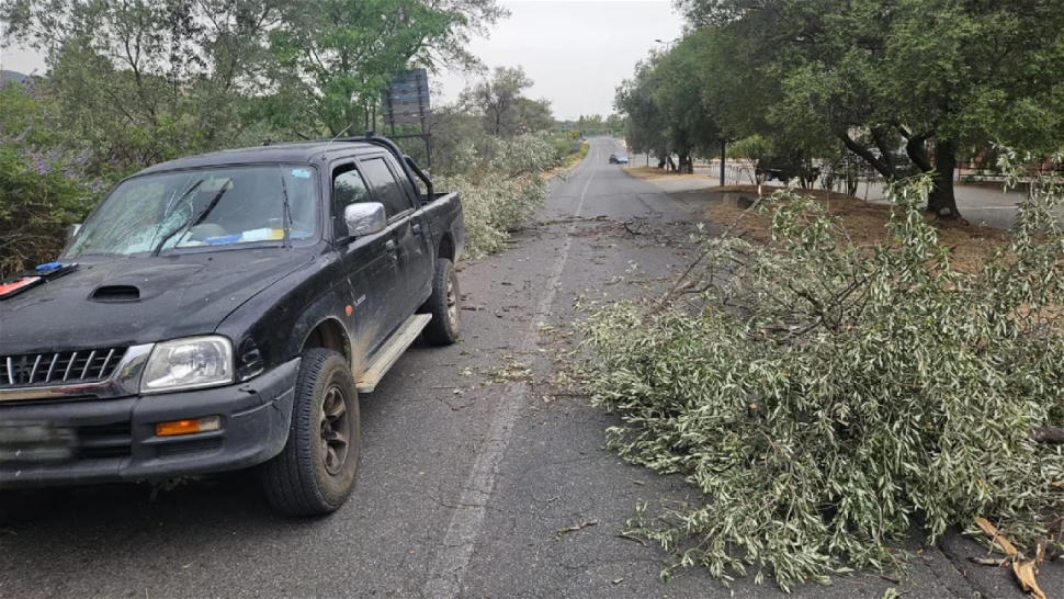 tromba daria corigliano rossano