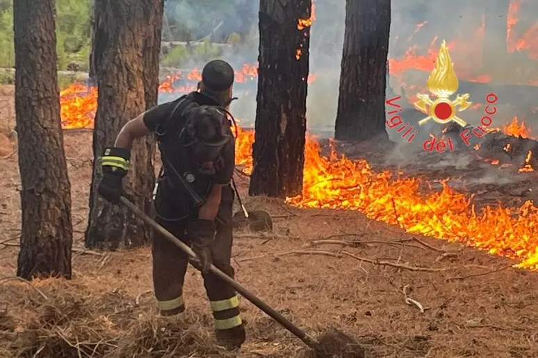 Paura nel pomeriggio, incendio minaccia case e aziende agricole 51 32556b1e7a58ad9966d78ecfa20726c7