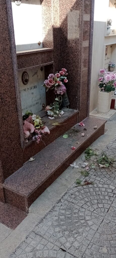 455134782 1027237788961100 1367651012966958013 n
