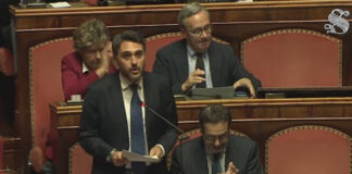 Nicola-Irto_Senato