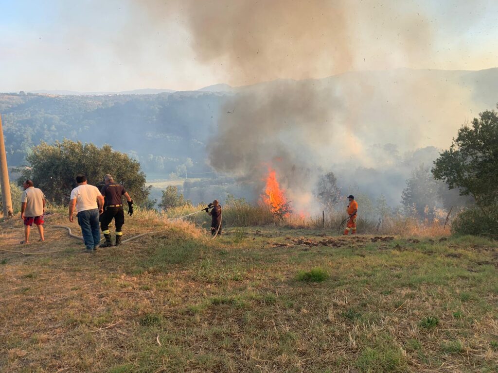 WhatsApp Image 2024 08 17 at 12.06.32