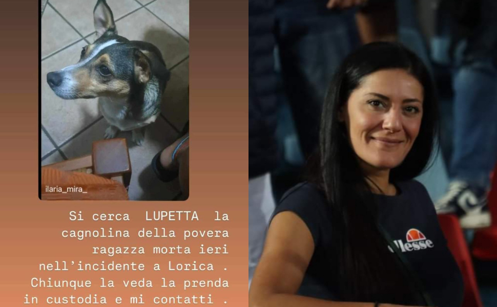 cane-Ilaria-Mirabelli.