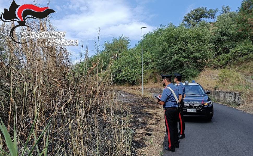carabinieri cosenza incendio luzzi